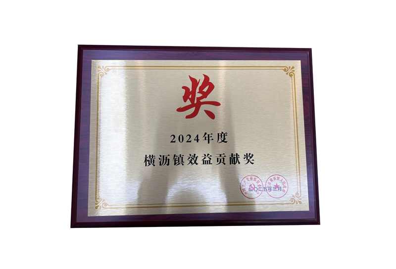 2024年度橫瀝鎮效益貢獻獎